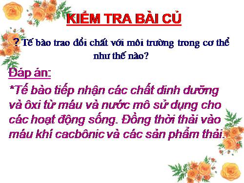 Bài 32. Chuyển hóa
