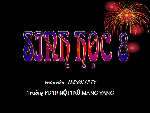 Bài 28. Tiêu hóa ở ruột non
