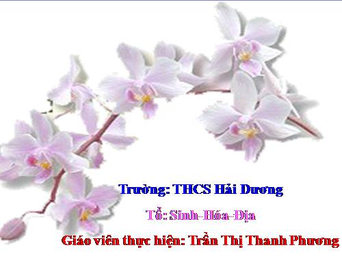 Bài 24. Tiêu hóa và các cơ quan tiêu hóa