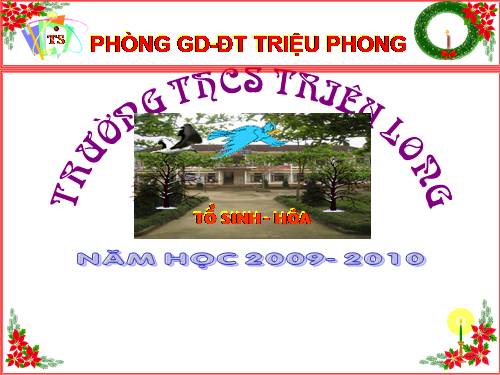 Bài 17. Tim và mạch máu