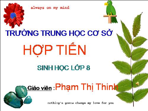Bài 17. Tim và mạch máu