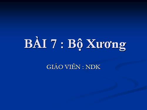 Bài 7. Bộ xương