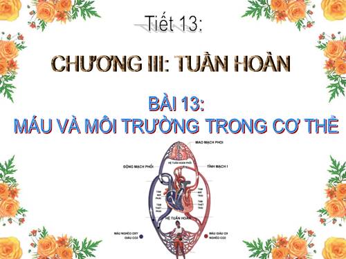 Bài 13. Máu và môi trường trong cơ thể