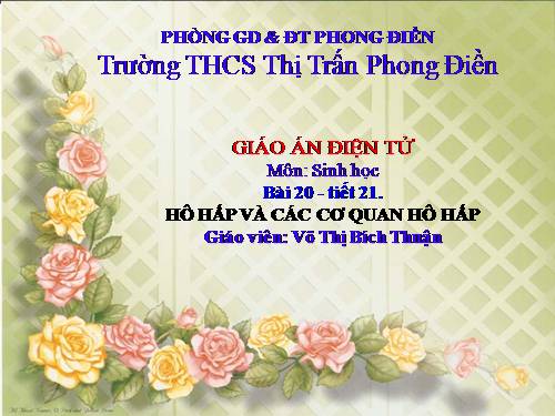 Bài 20. Hô hấp và các cơ quan hô hấp