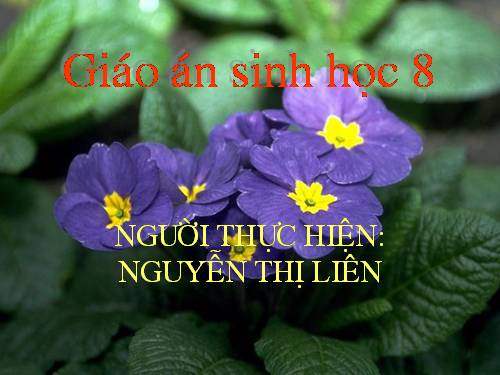 Bài 49. Cơ quan phân tích thị giác