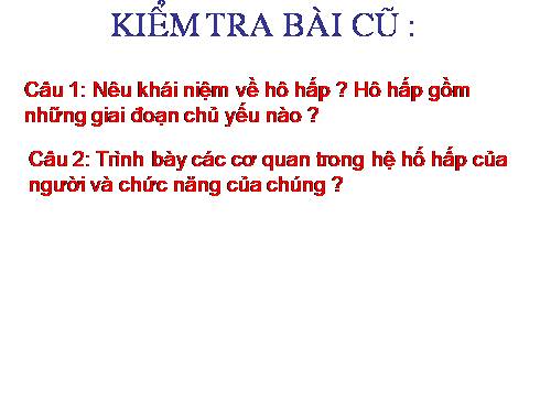 Bài 21. Hoạt động hô hấp