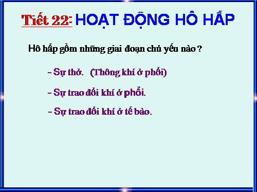 Bài 21. Hoạt động hô hấp