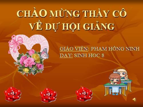 Bài 18. Vận chuyển máu qua hệ mạch. Vệ sinh hệ tuần hoàn