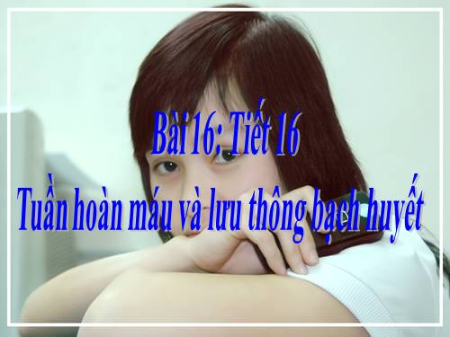 Bài 16. Tuần hoàn máu và lưu thông bạch huyết