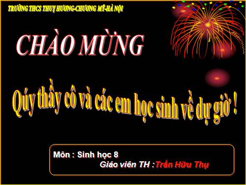 Bài 25. Tiêu hóa ở khoang miệng