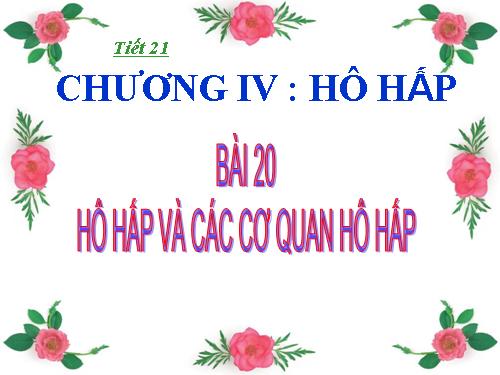 Bài 20. Hô hấp và các cơ quan hô hấp