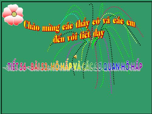 Bài 20. Hô hấp và các cơ quan hô hấp