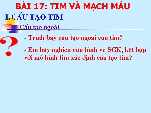 Bài 17. Tim và mạch máu