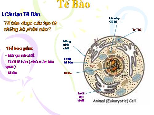 Bài 3. Tế bào