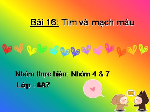 Bài 17. Tim và mạch máu