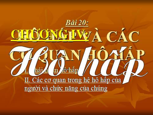 Bài 20. Hô hấp và các cơ quan hô hấp