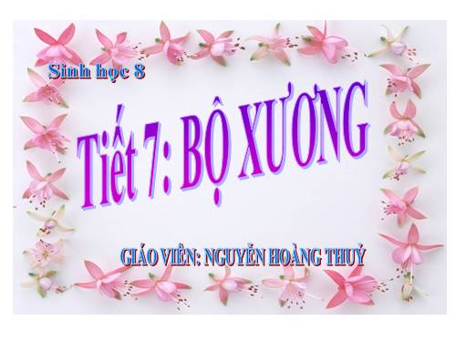 Bài 7. Bộ xương