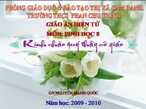 Bài 16. Tuần hoàn máu và lưu thông bạch huyết