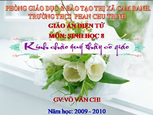 Bài 16. Tuần hoàn máu và lưu thông bạch huyết