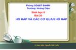 Bài 20. Hô hấp và các cơ quan hô hấp