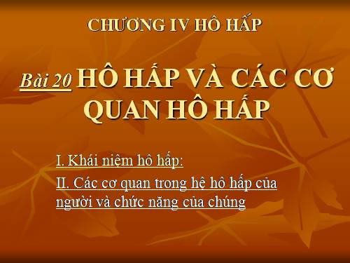 Bài 20. Hô hấp và các cơ quan hô hấp