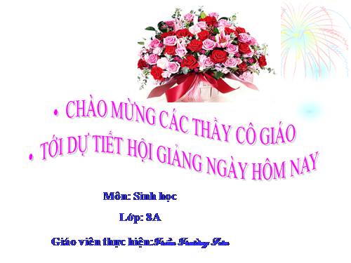 Bài 15. Đông máu và nguyên tắc truyền máu