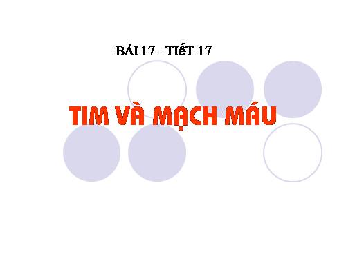 Bài 17. Tim và mạch máu