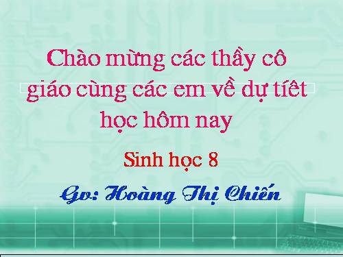 Bài 13. Máu và môi trường trong cơ thể