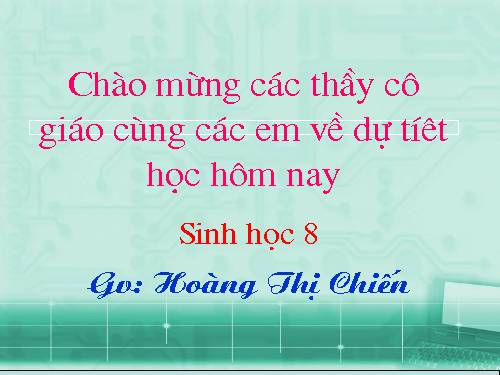 Bài 13. Máu và môi trường trong cơ thể