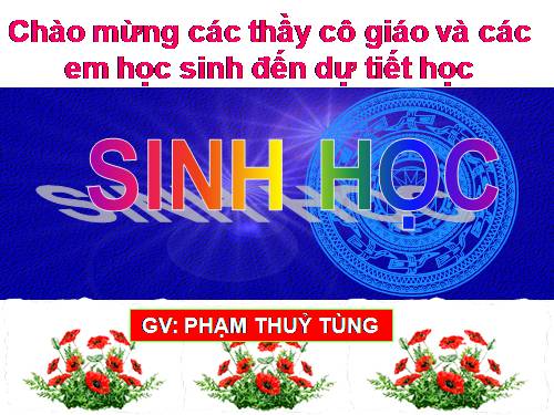 Bài 64. Các bệnh lây truyền qua đường sinh dục (bệnh tình dục)