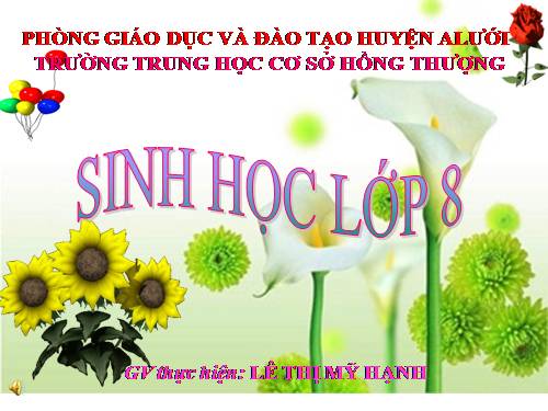 Bài 17. Tim và mạch máu