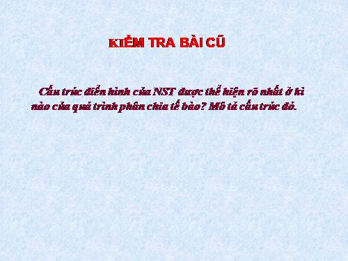 Bài 36. Tiêu chuẩn ăn uống. Nguyên tắc lập khẩu phần