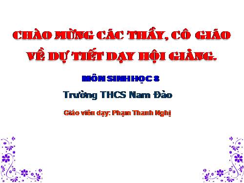 Bài 28. Tiêu hóa ở ruột non