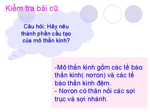 Bài 6. Phản xạ