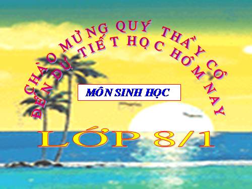 Bài 7. Bộ xương