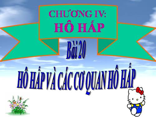 Bài 20. Hô hấp và các cơ quan hô hấp