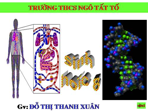 Bài 6. Phản xạ