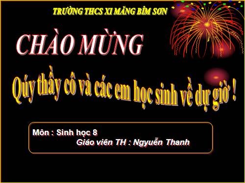 Bài 25. Tiêu hóa ở khoang miệng