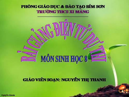 Bài 25. Tiêu hóa ở khoang miệng