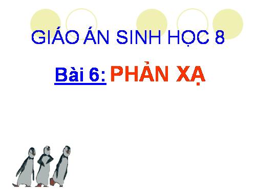 Bài 6. Phản xạ