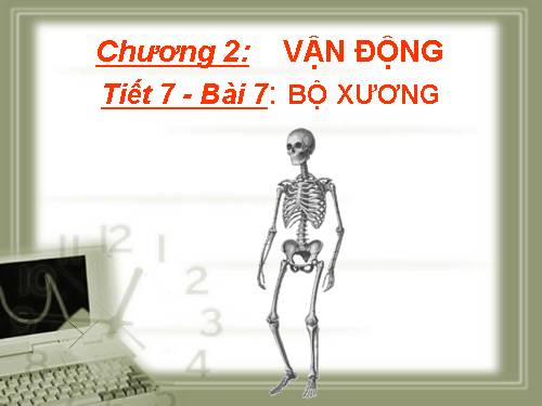 Bài 7. Bộ xương