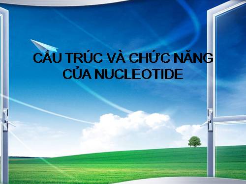 Bài 41. Cấu tạo và chức năng của da