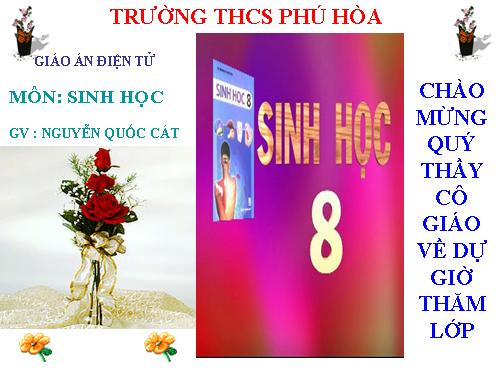 Bài 57. Tuyến tụy và tuyến trên thận