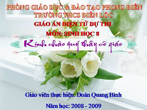 Bài 15. Đông máu và nguyên tắc truyền máu