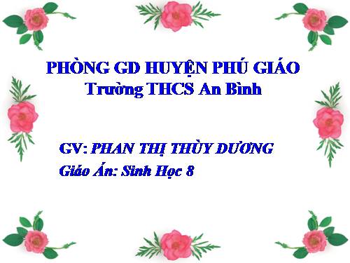 Bài 20. Hô hấp và các cơ quan hô hấp