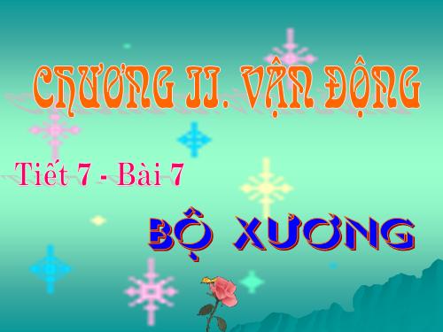 Bài 7. Bộ xương