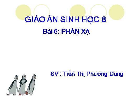 Bài 6. Phản xạ