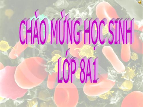 Bài 20. Hô hấp và các cơ quan hô hấp