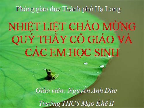 Bài 39. Bài tiết nước tiểu