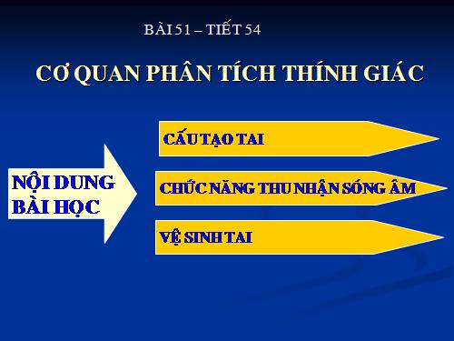 Bài 51. Cơ quan phân tích thính giác